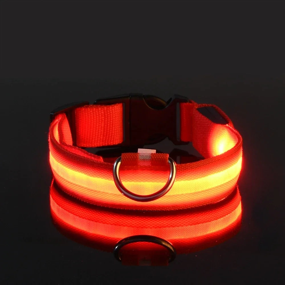 BUY 2 AND WIN ONE Dog Collar Nylon LED Night Safety Flashing Glow In The Dark