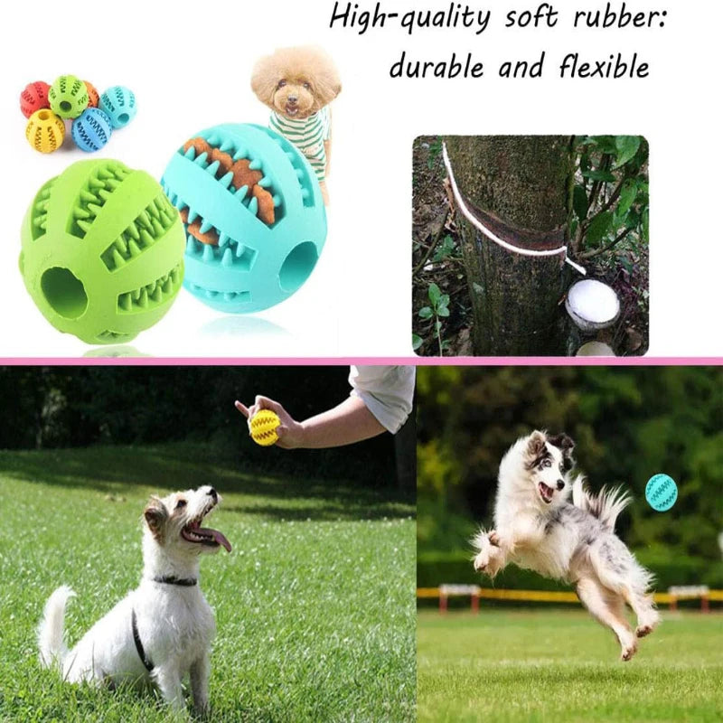 Dog Toy Ball Interactive