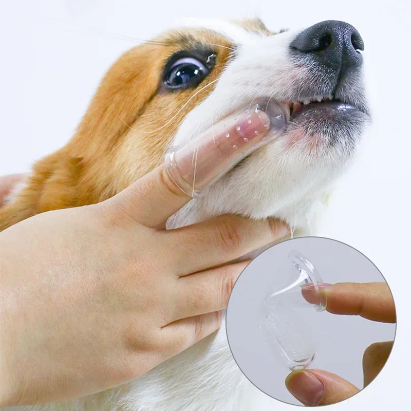 Super Soft Pet Finger Toothbrush Teddy Dog