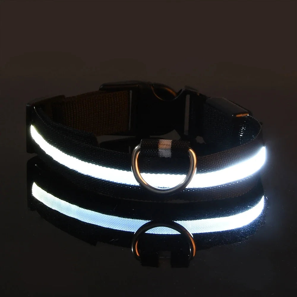 BUY 2 AND WIN ONE Dog Collar Nylon LED Night Safety Flashing Glow In The Dark