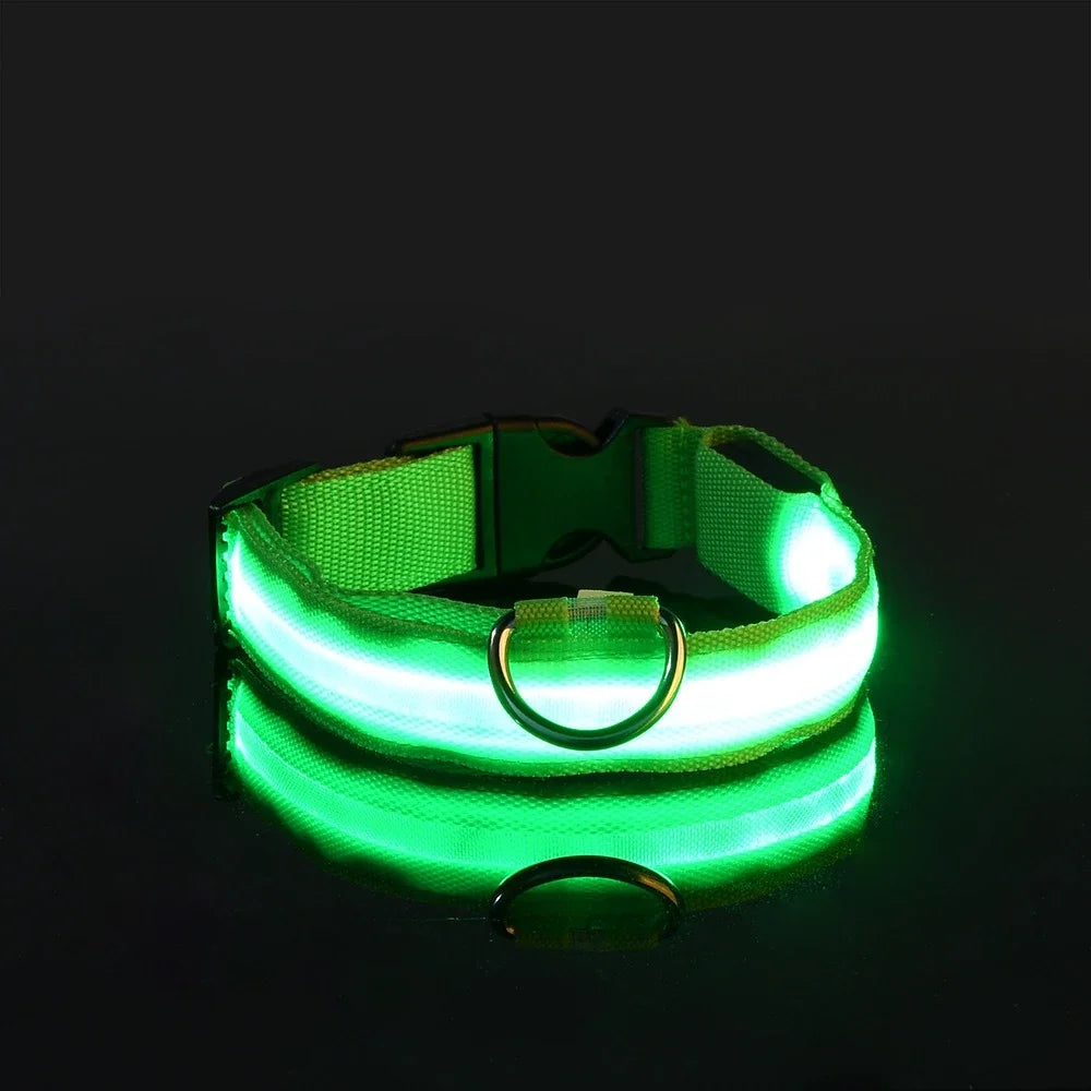 BUY 2 AND WIN ONE Dog Collar Nylon LED Night Safety Flashing Glow In The Dark