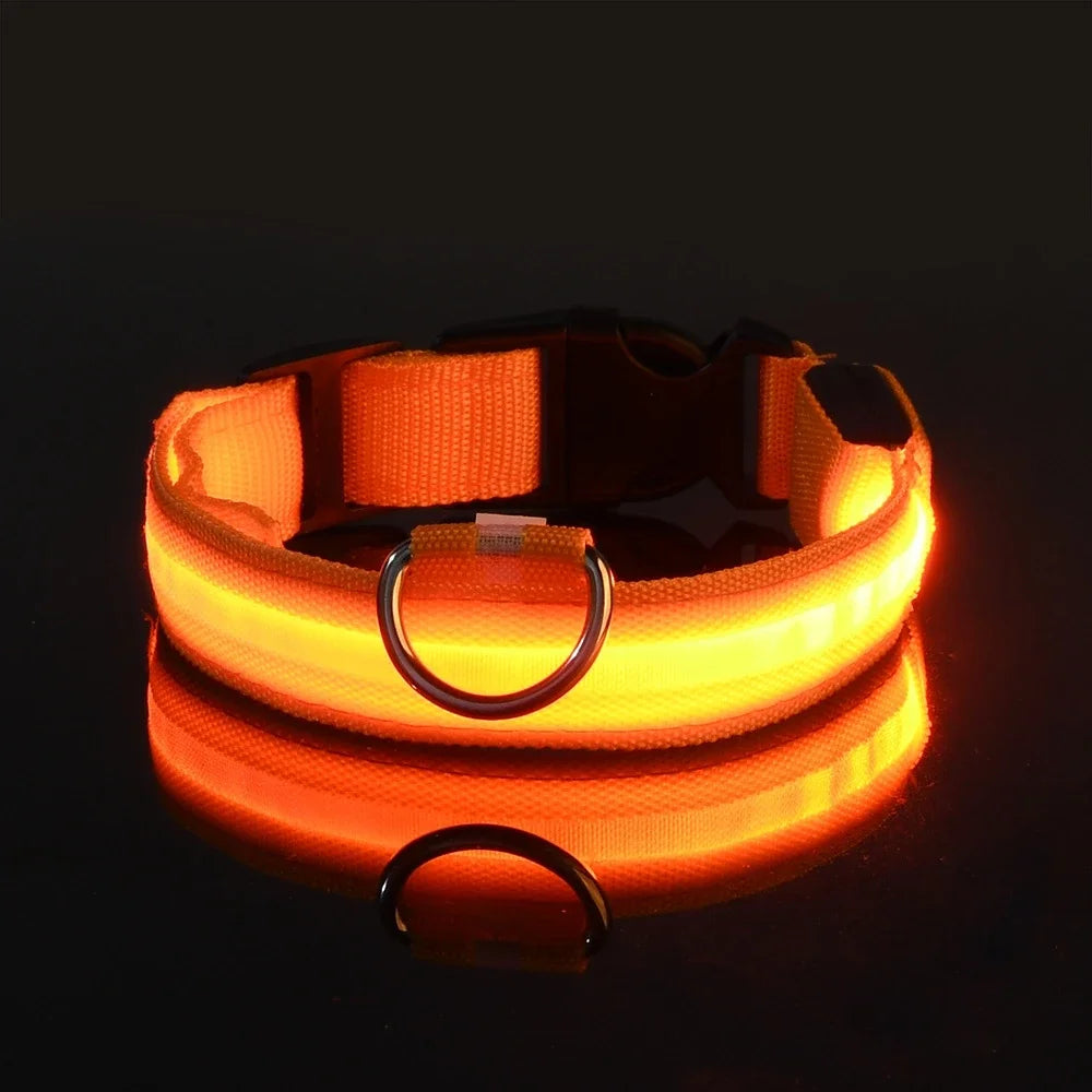 BUY 2 AND WIN ONE Dog Collar Nylon LED Night Safety Flashing Glow In The Dark