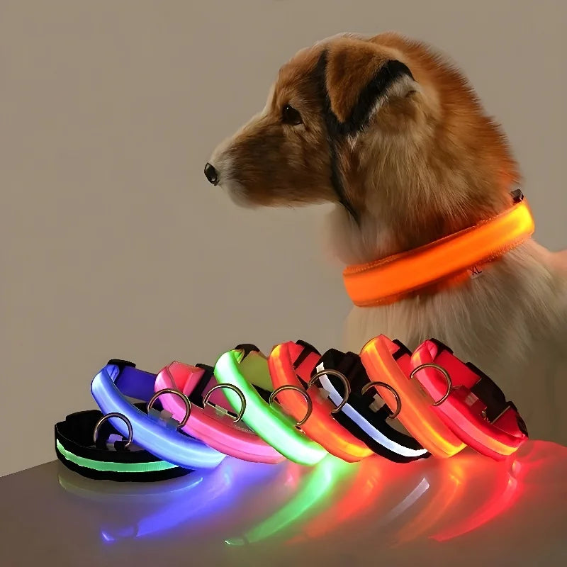 BUY 2 AND WIN ONE Dog Collar Nylon LED Night Safety Flashing Glow In The Dark