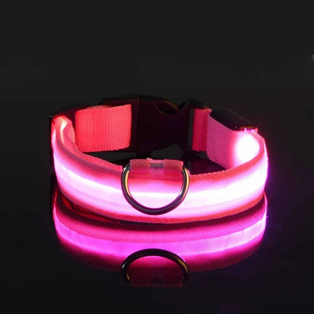 BUY 2 AND WIN ONE Dog Collar Nylon LED Night Safety Flashing Glow In The Dark