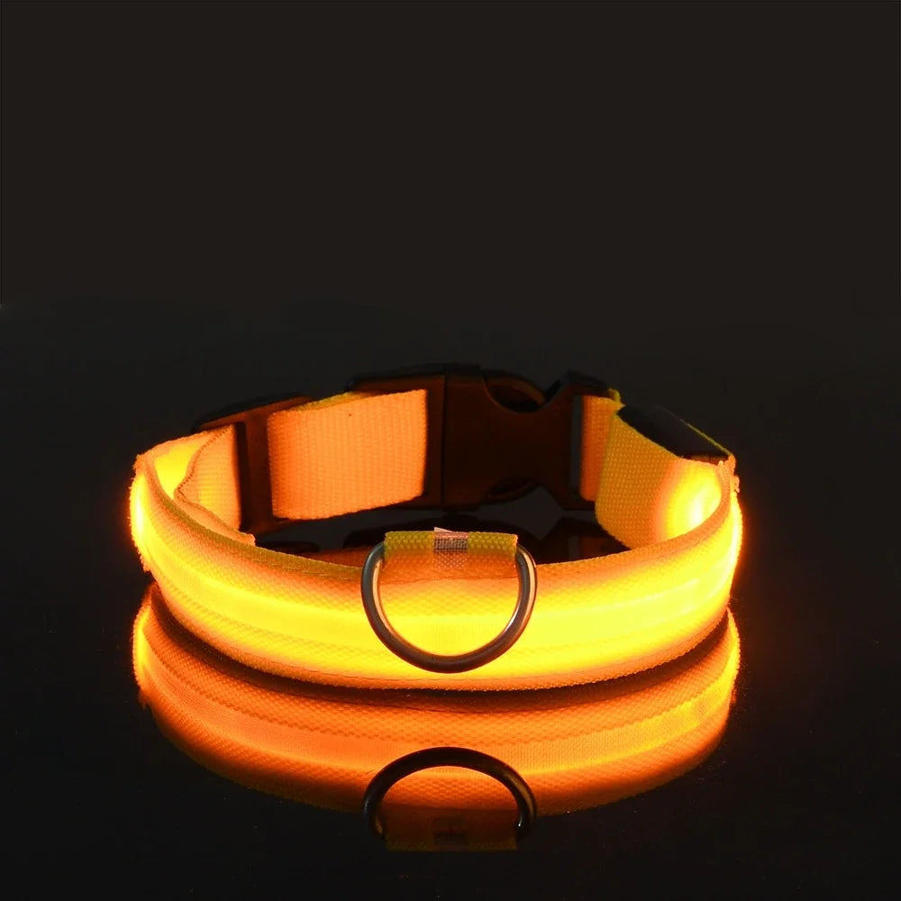 BUY 2 AND WIN ONE Dog Collar Nylon LED Night Safety Flashing Glow In The Dark